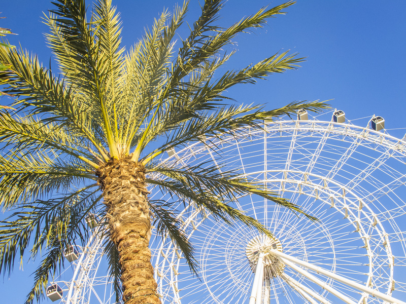 Ferris wheel and palm tree, blue sky,